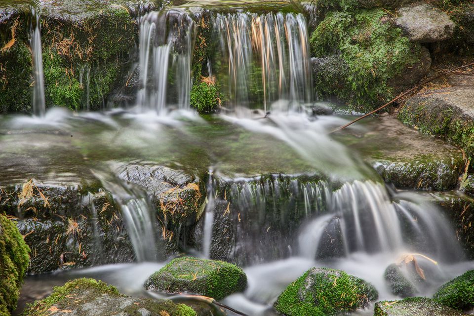 Fern Spring, Yosemite National Park