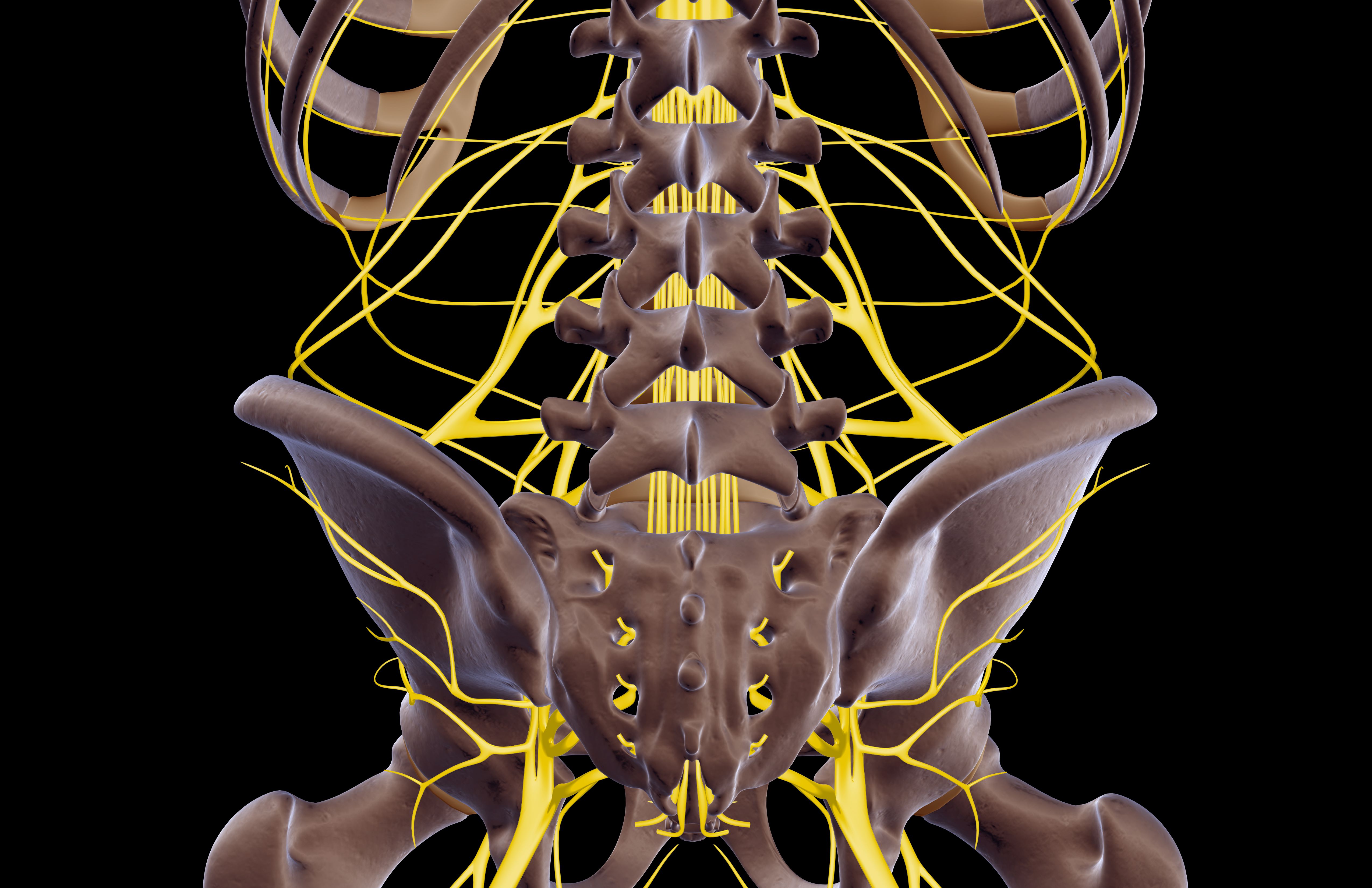 What Helps Get Rid Of Sciatic Nerve Pain