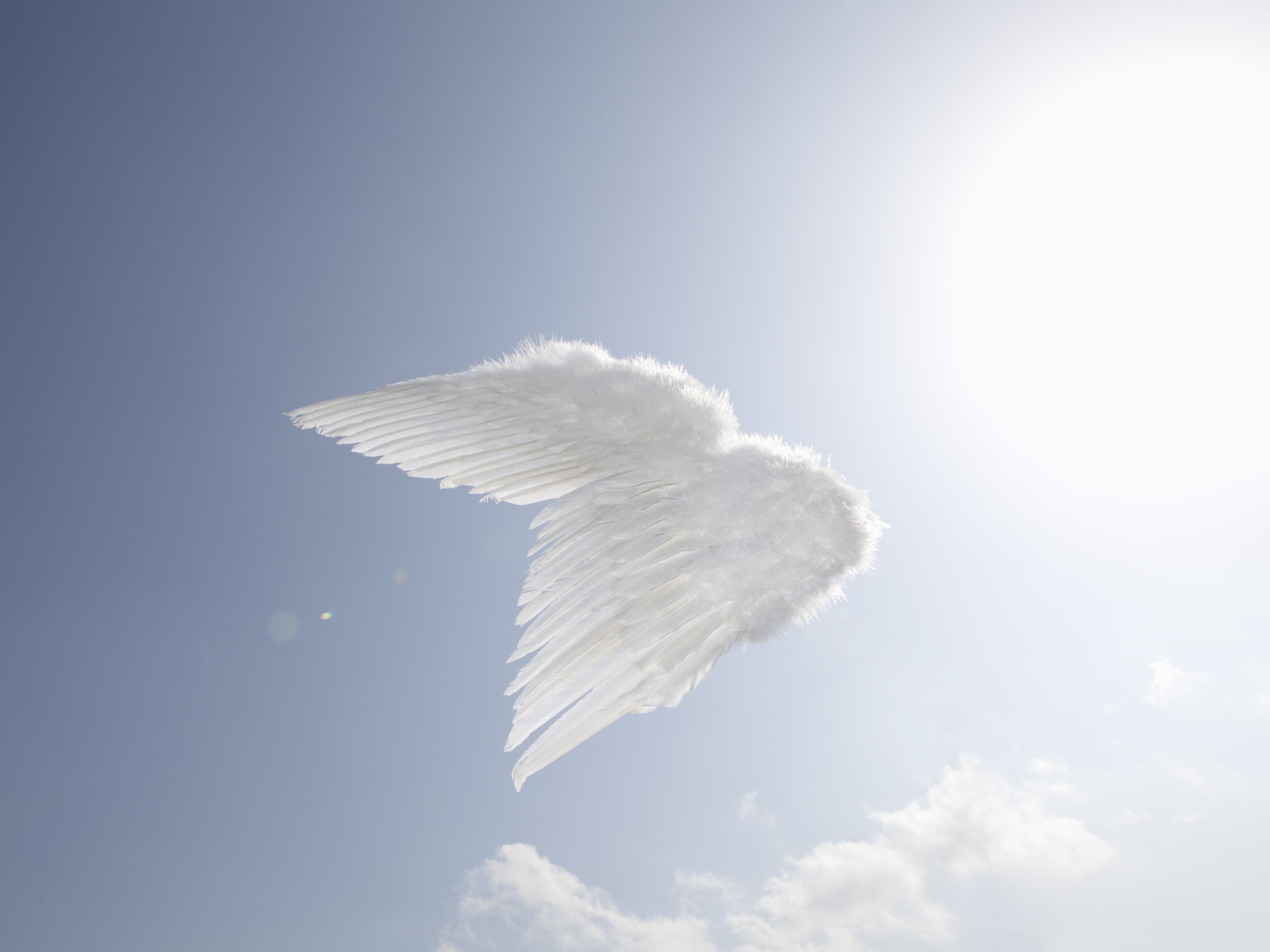 10 True Stories of Angel Encounters