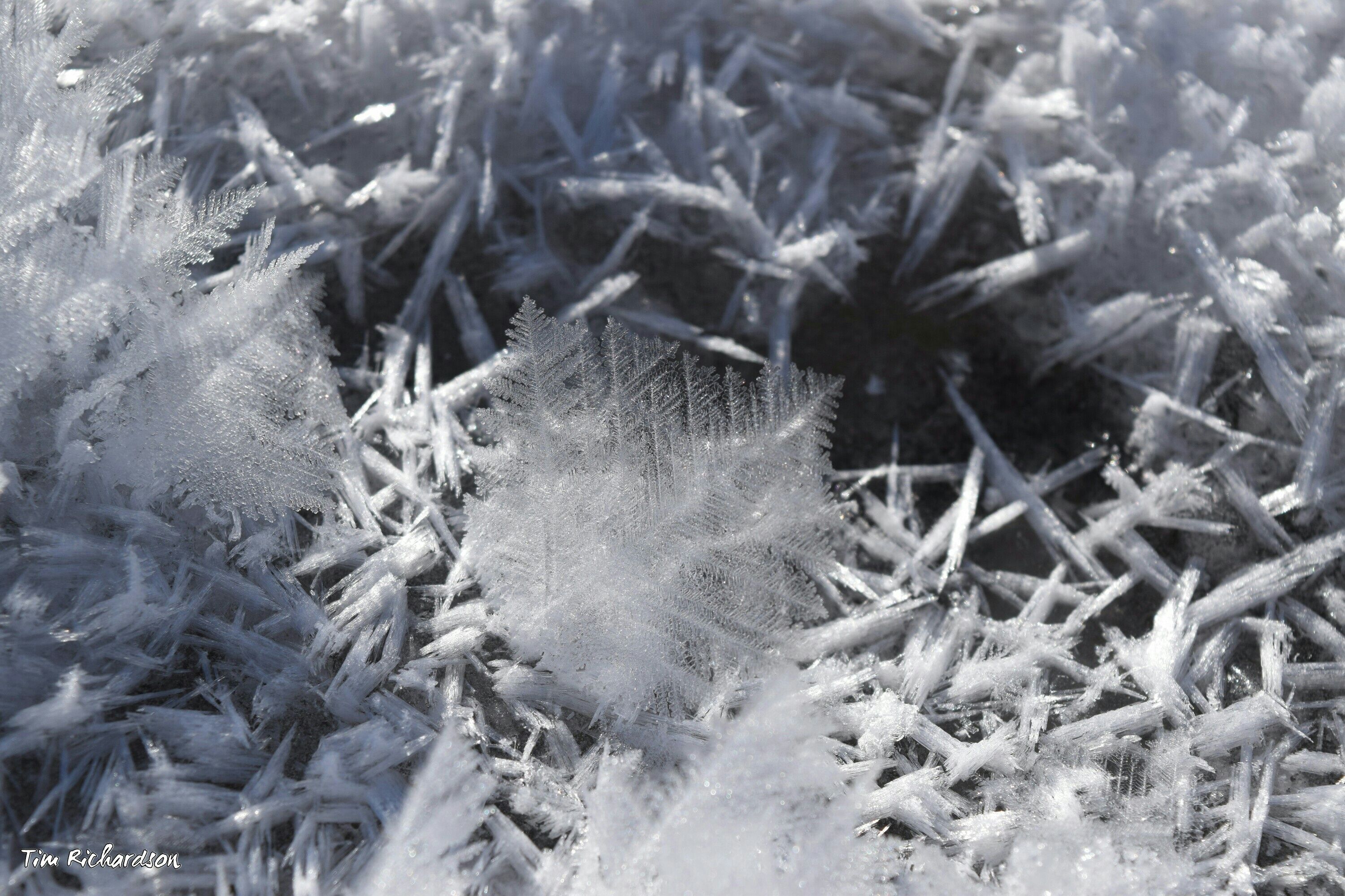 how-to-make-a-storm-glass-to-predict-the-weather