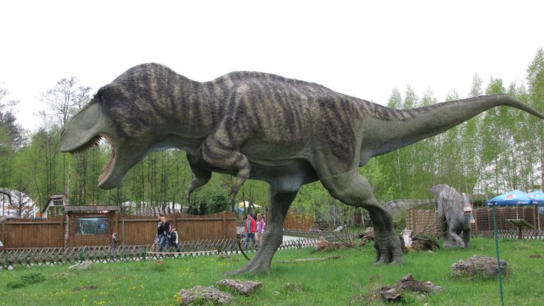 t rex real dinosaur