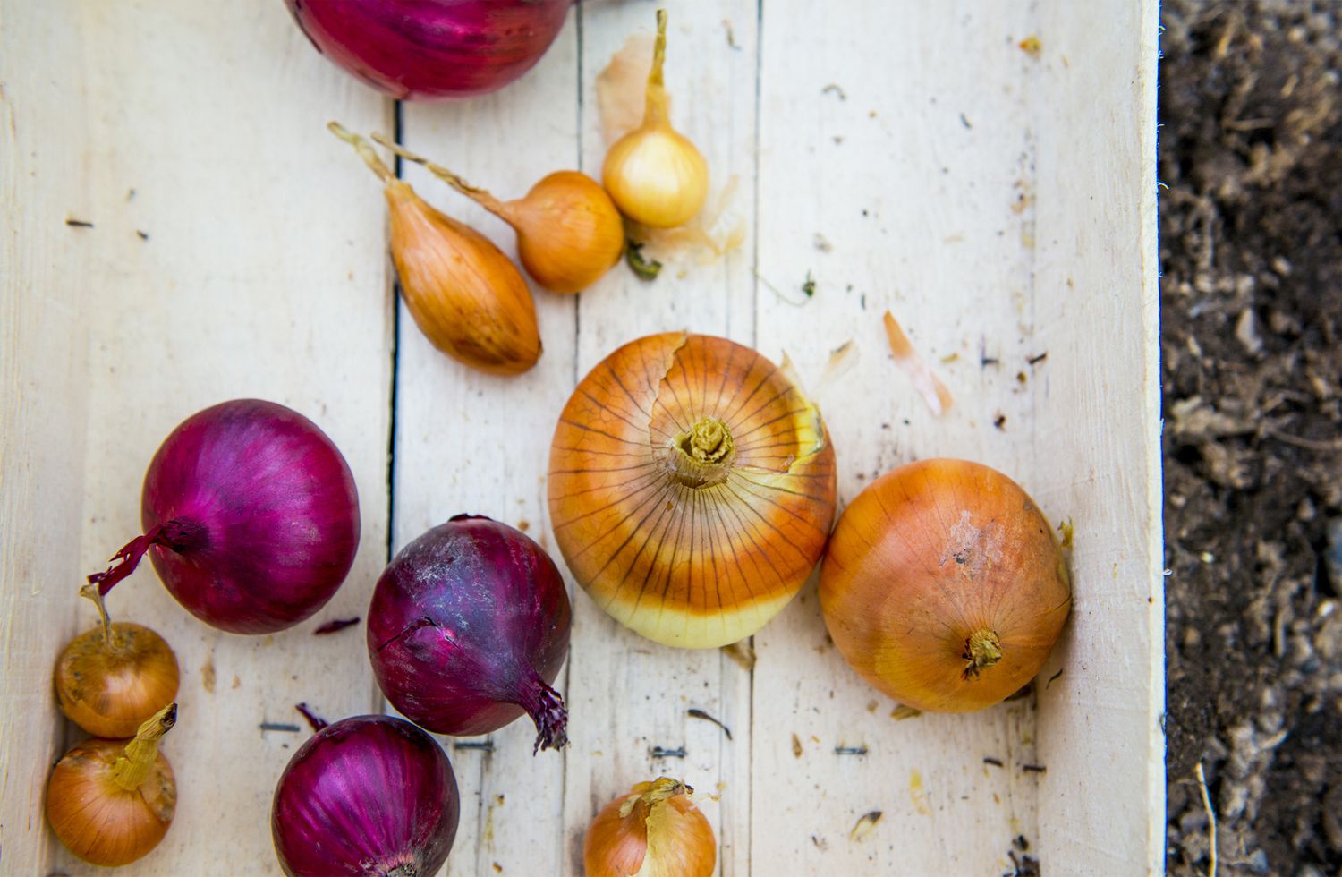 The best way to store onions
