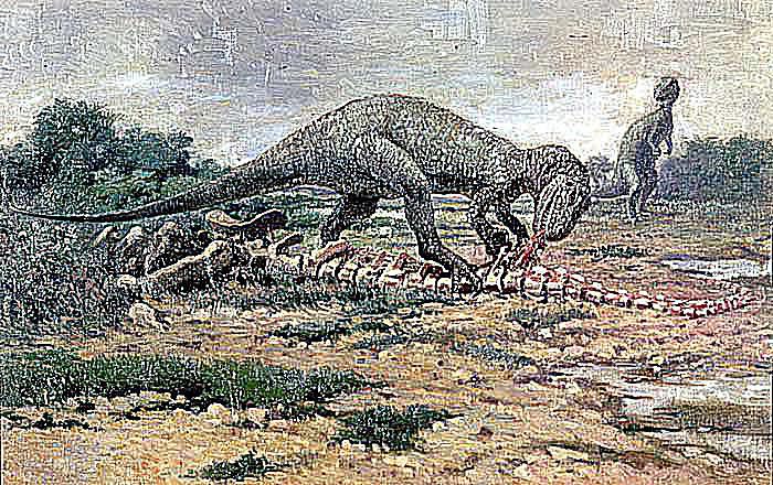 about allosaurus