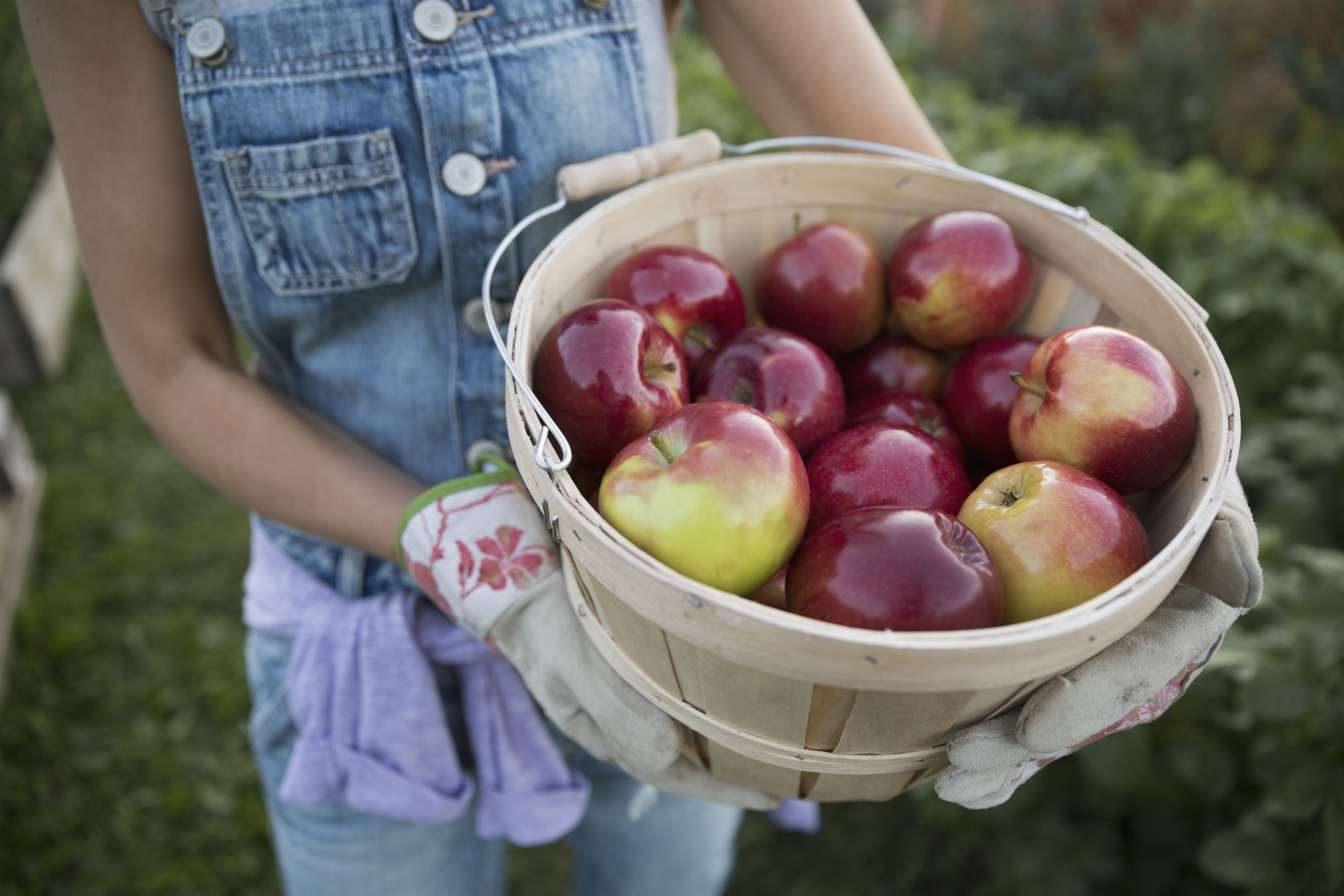 How Much Do You Get In A Bushel 