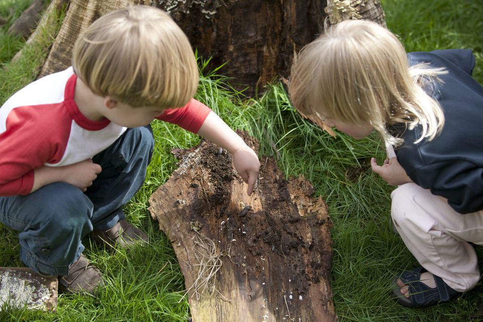 Earth Day Games For Kids