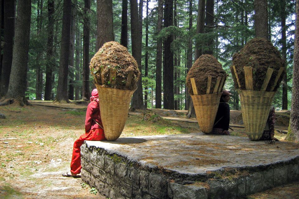 Manali Nature Park