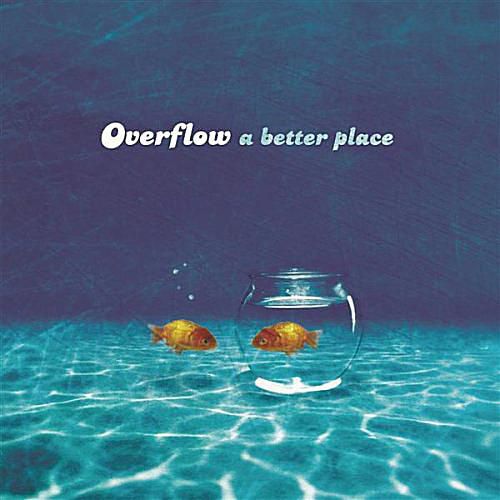 places to watch overflow