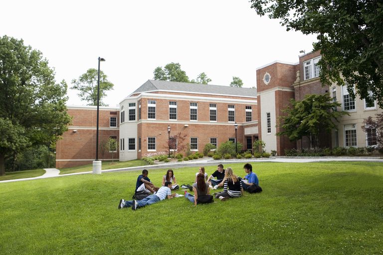 Group of friends (16-19) studying outdoors