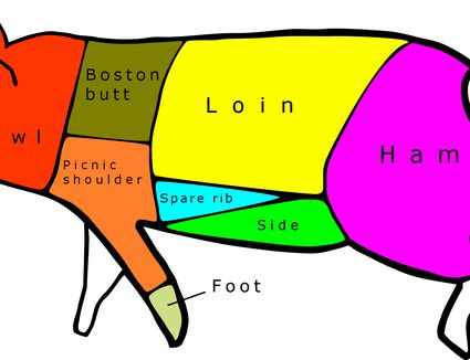 Pork Picnic Shoulder Information