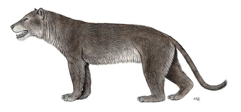 Pictures and Profiles of Prehistoric Dogs