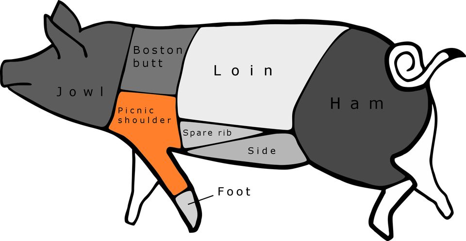 Cuts of Pork: Pig Diagram and Pork Chart