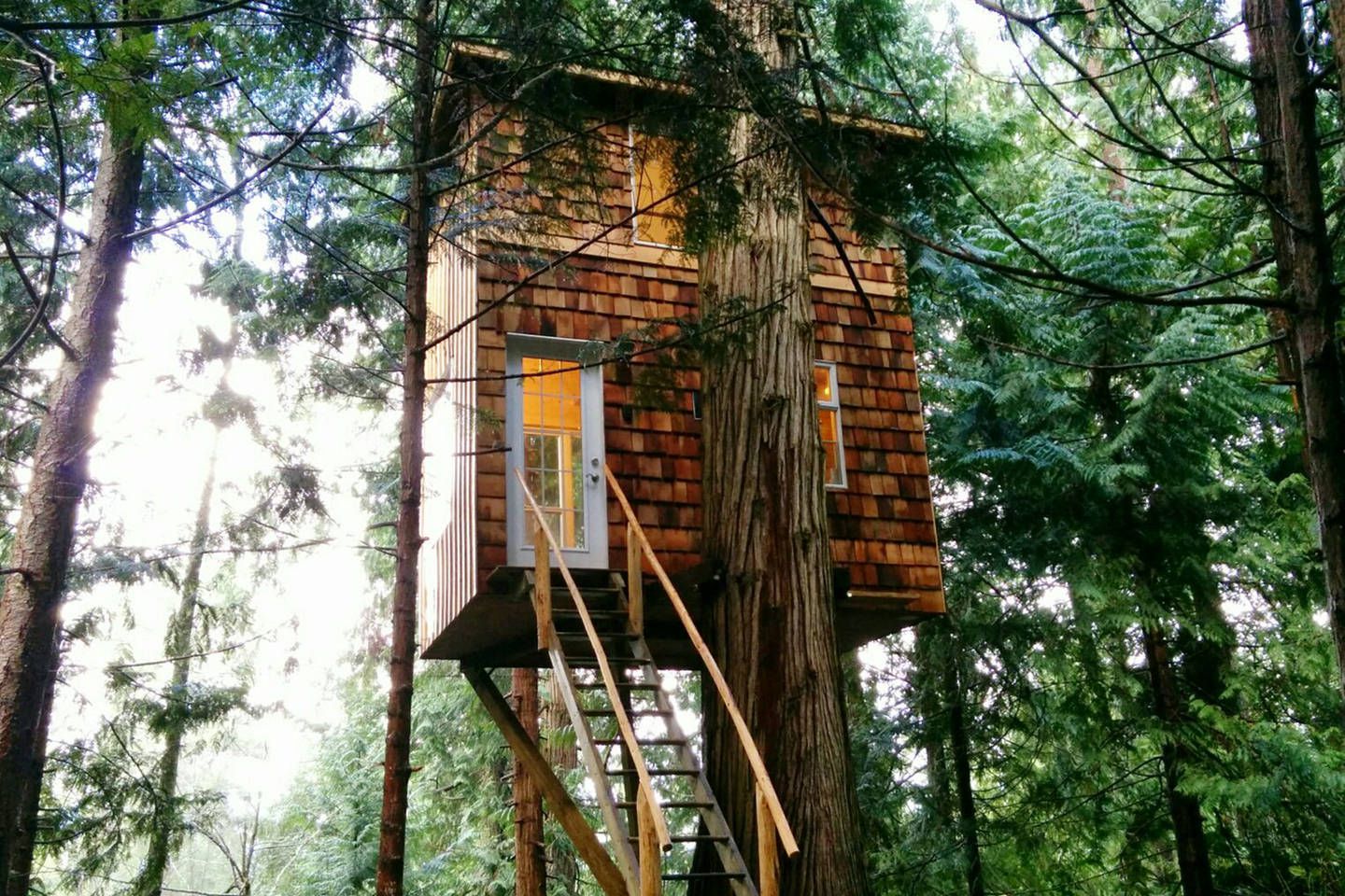 A Tree Top Retreat That Cost $8,200