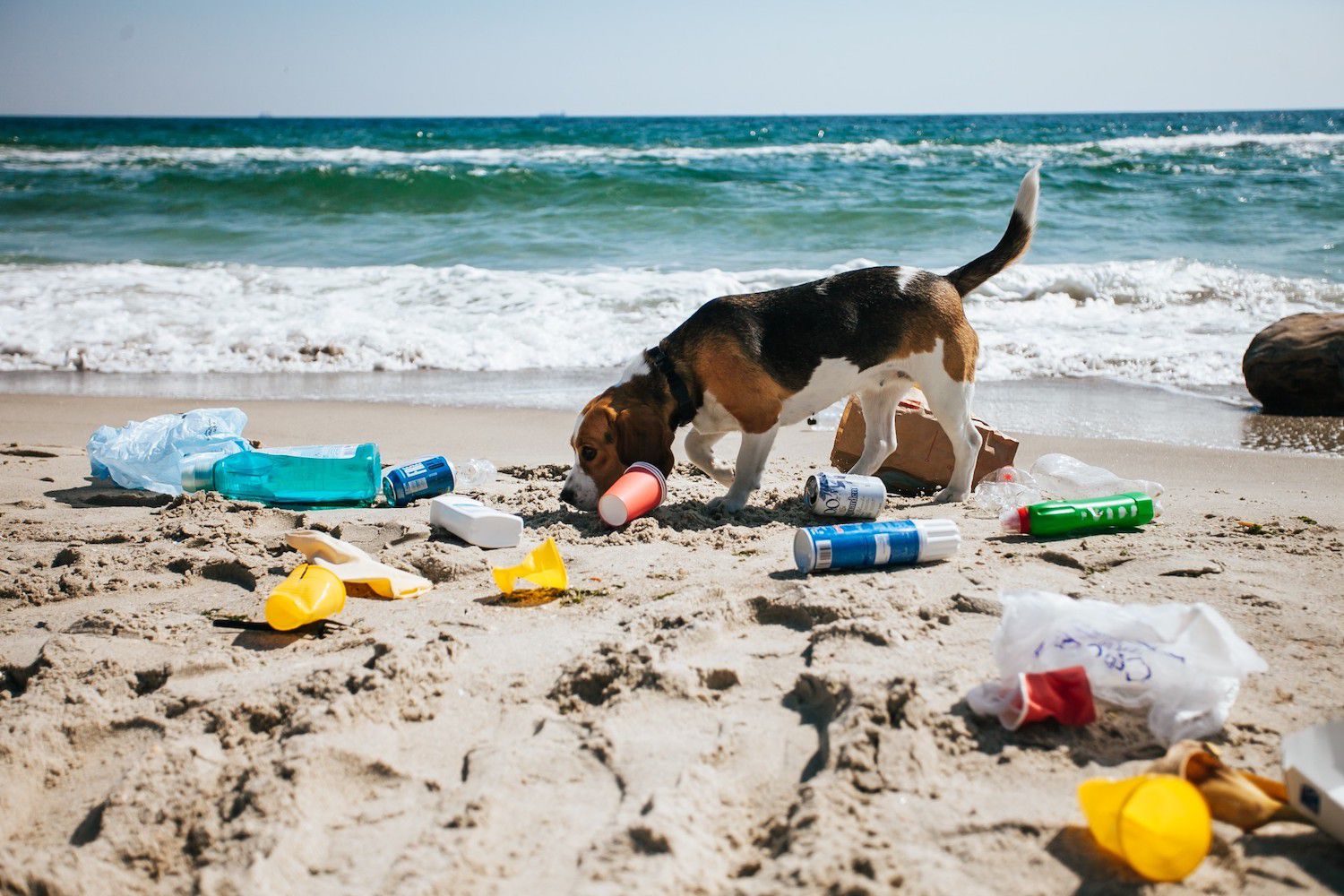 Plastic Reduction Targets Are Far Too Low