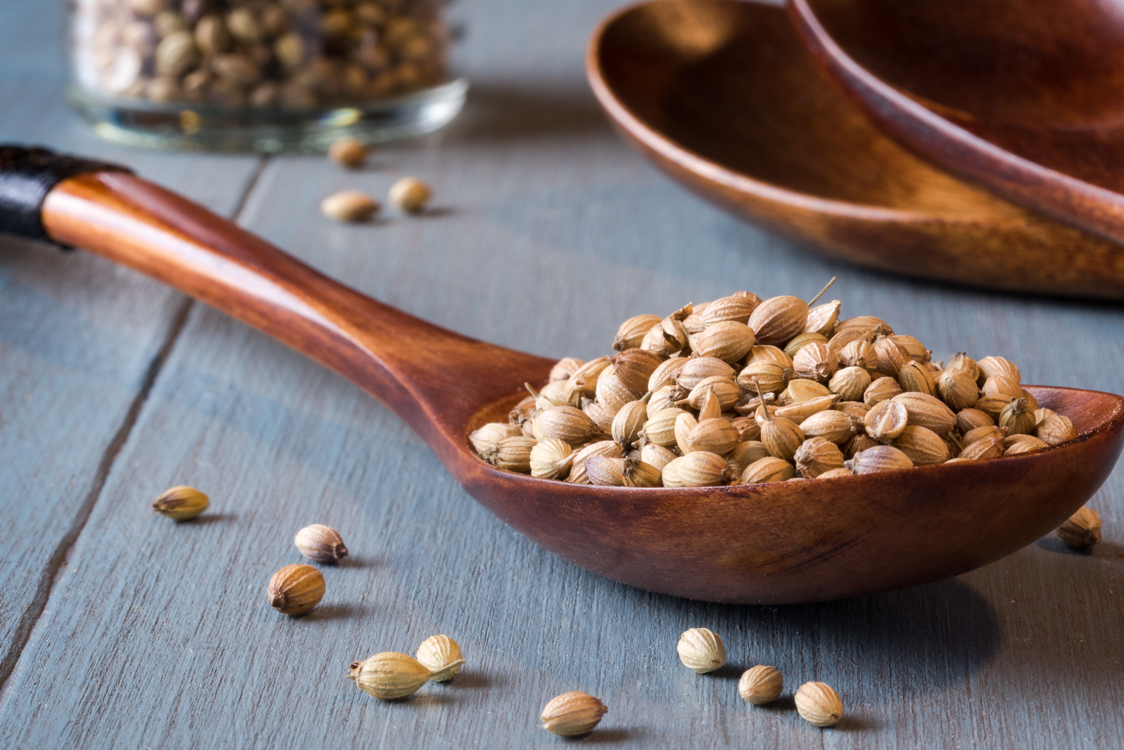 Coriander Definition and Culinary Uses