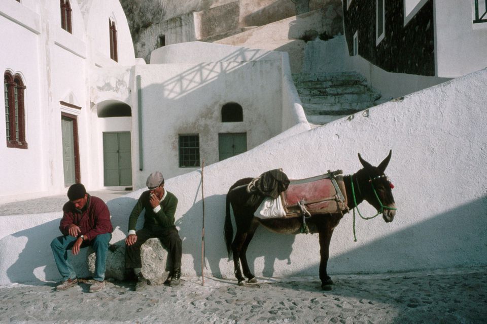 Men with Donkey in Santorini Town