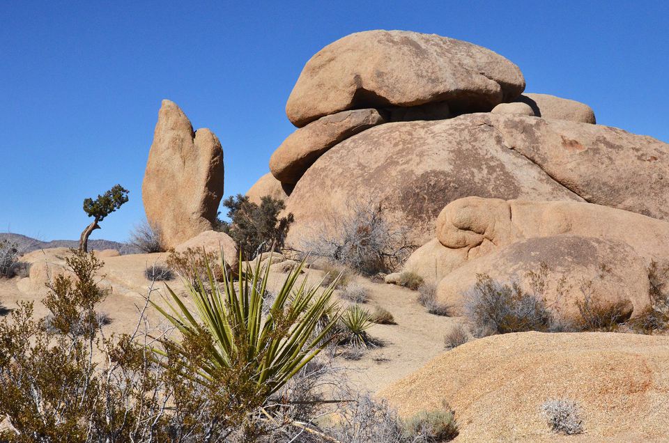 Exploring Joshua Tree National Park