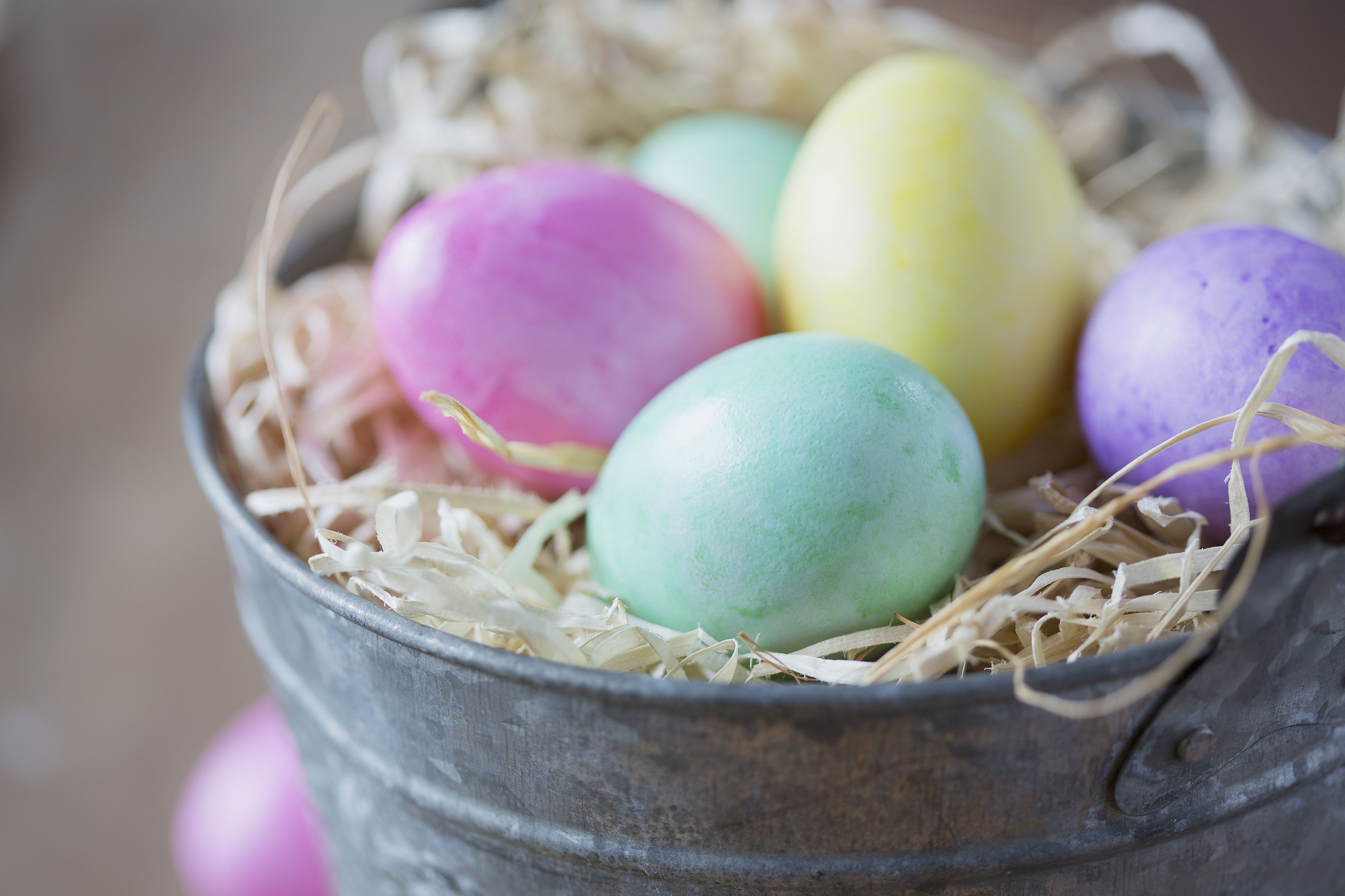Get Free Easter Stuff