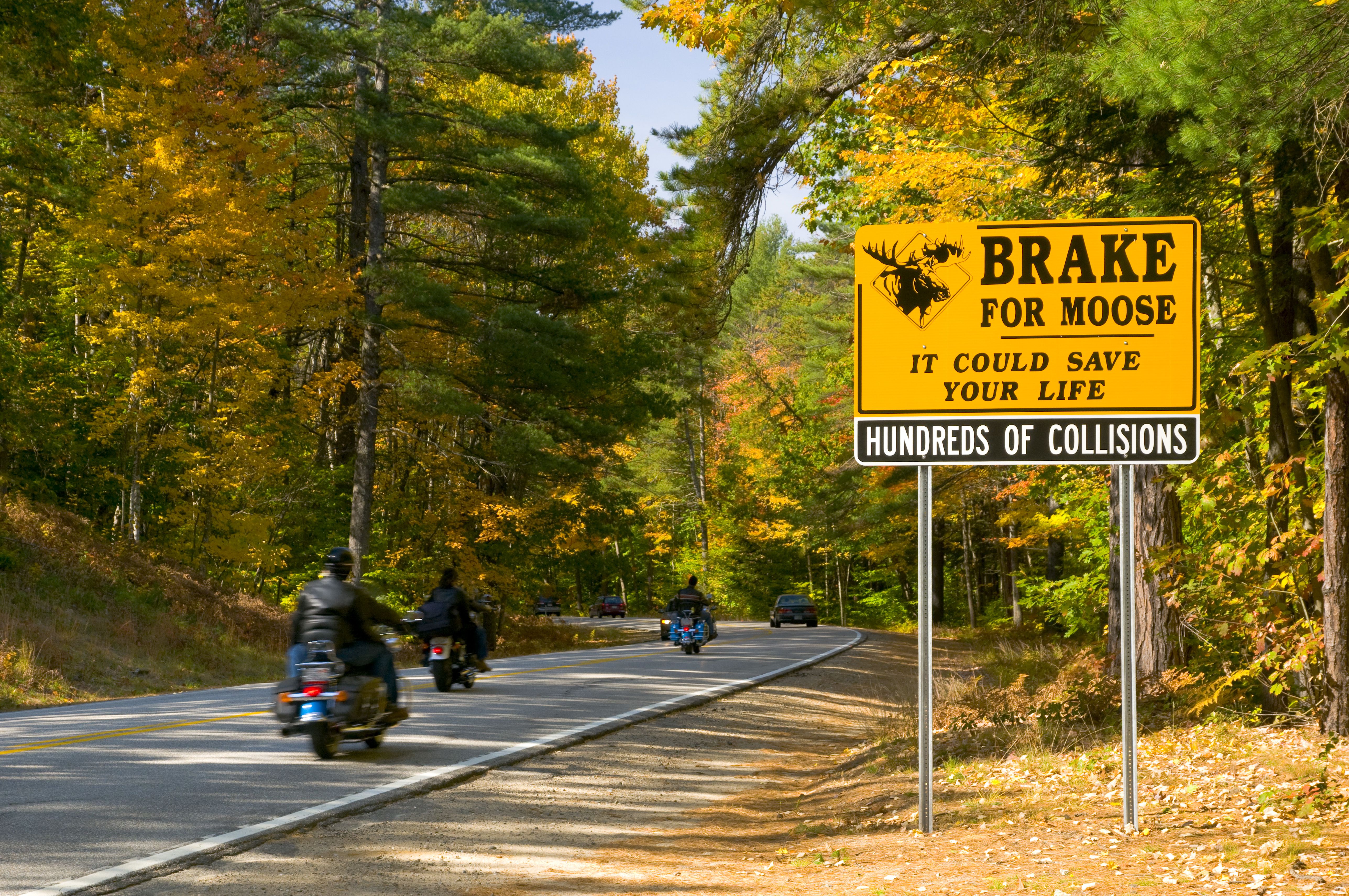 Scenic Fall Foliage Drives In New Hampshire 6351