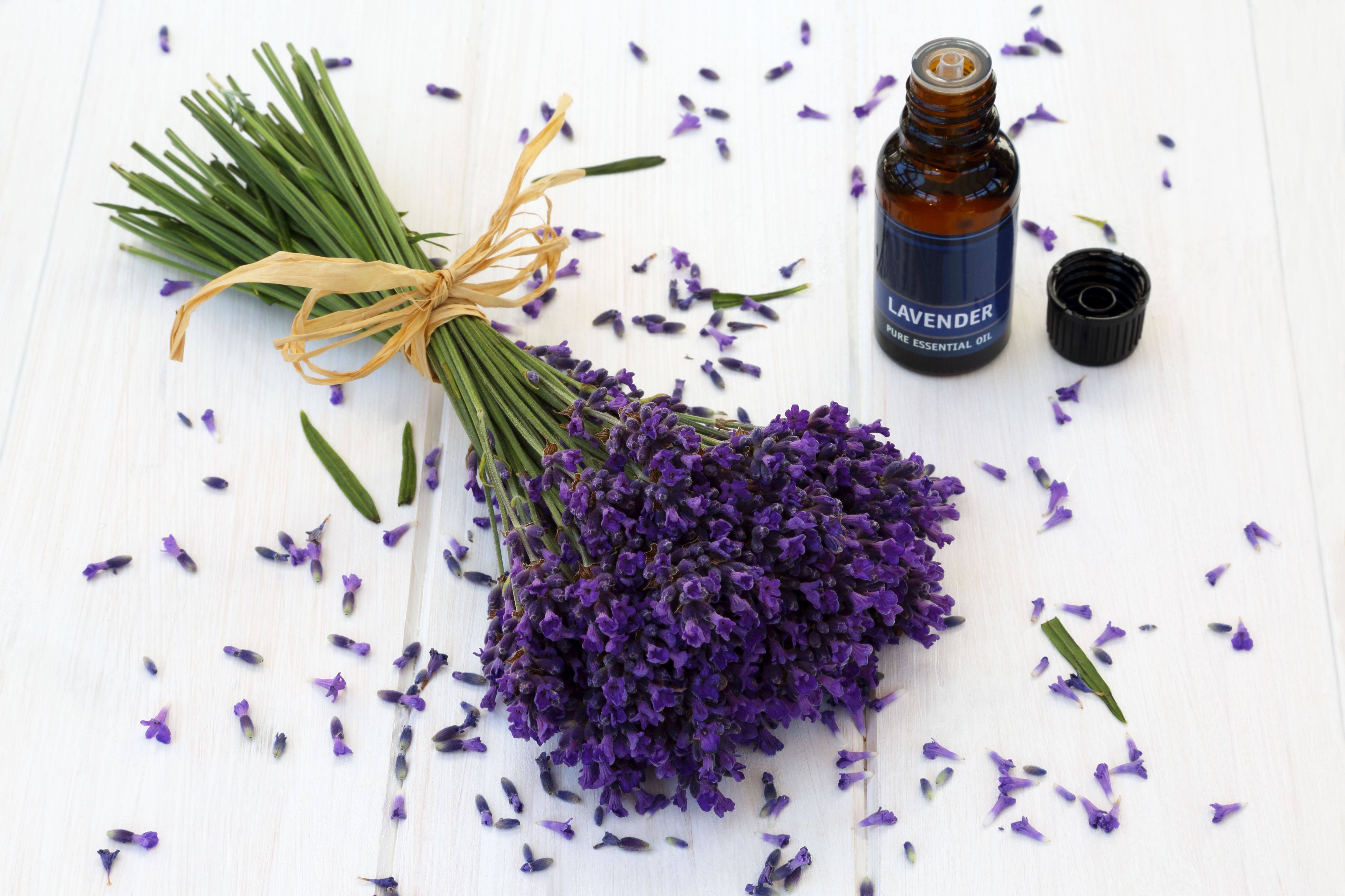 DIY Lavender Vinegar Laundry Rinse