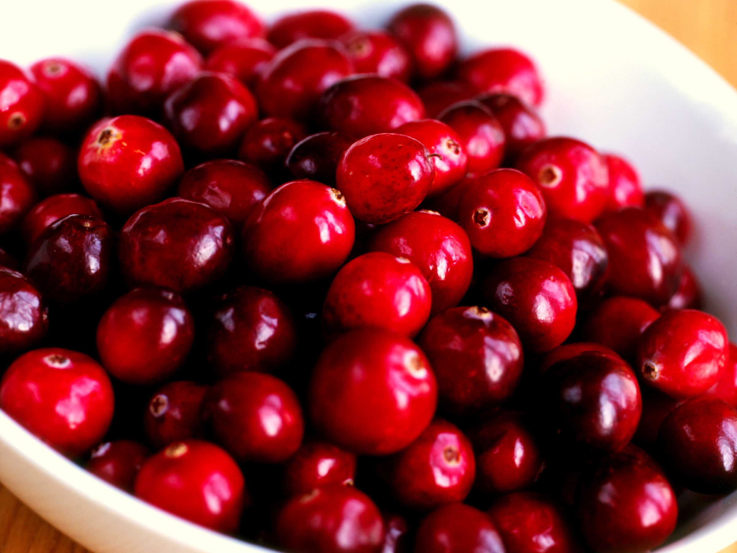 cranberries2x 56a4953a3df78cf772831bd2