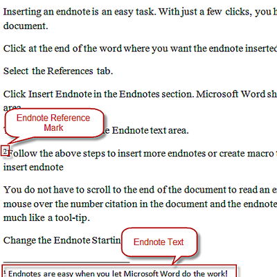 ba convert footnote to endnote word 2010