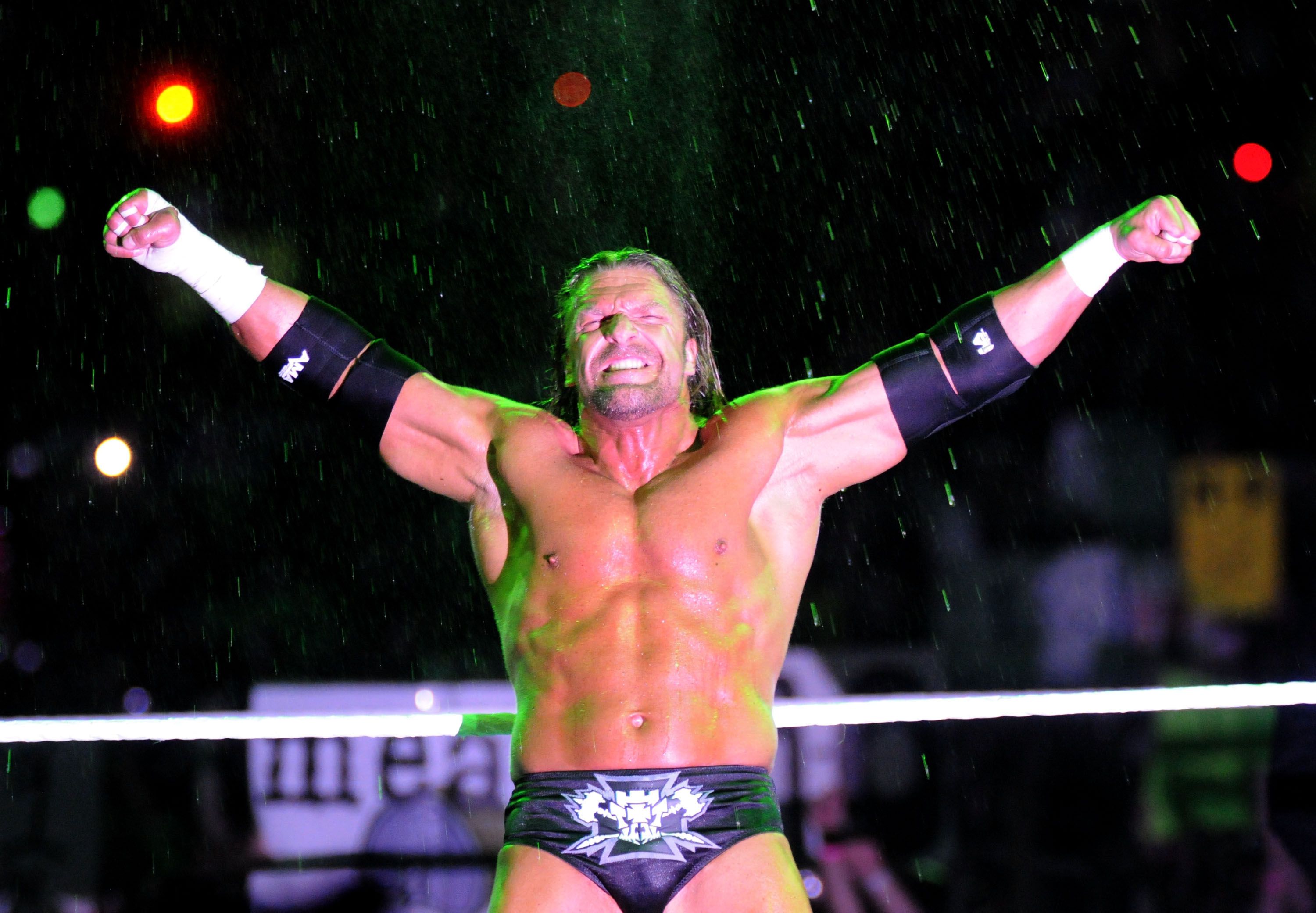 triple h wwetoy