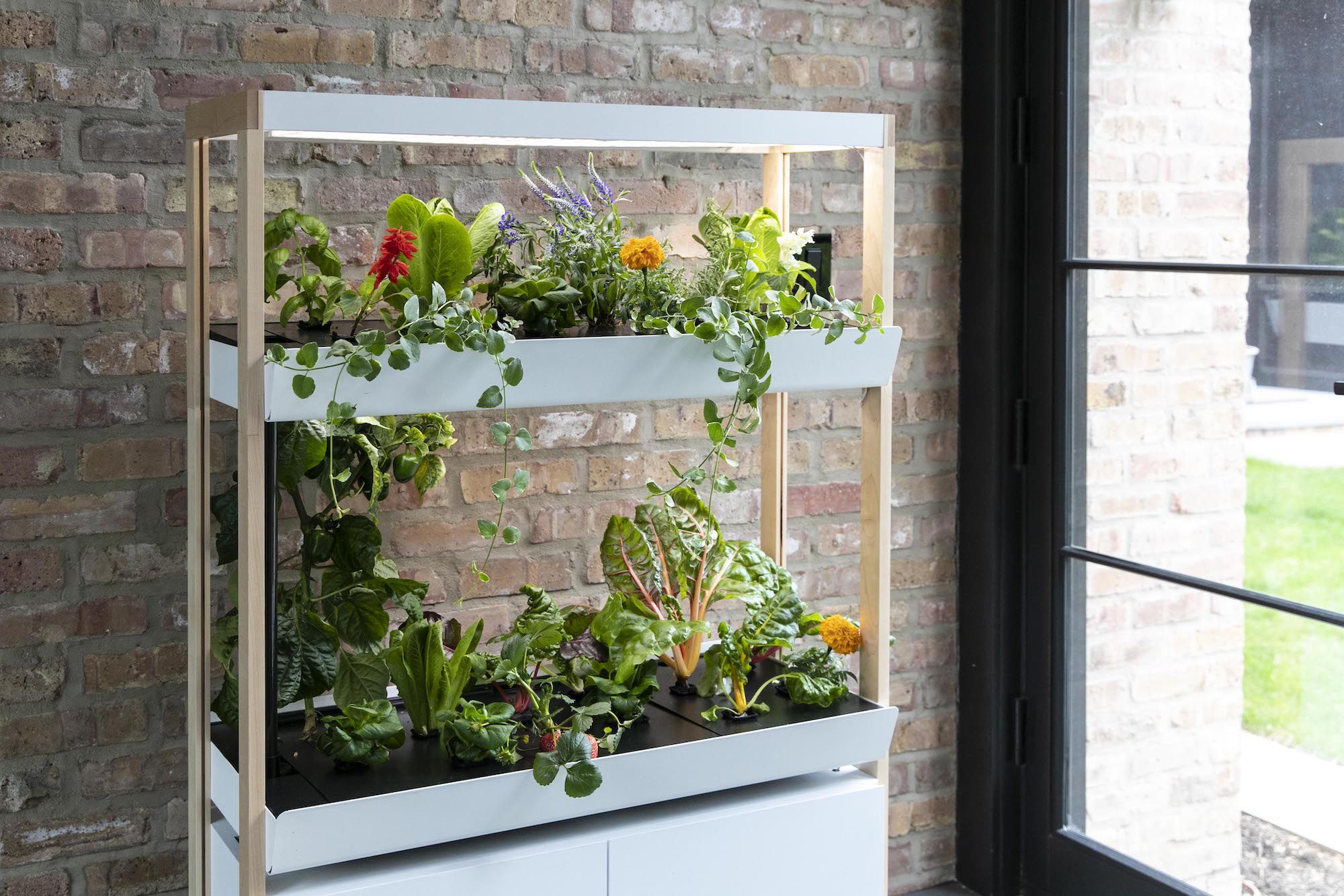 This Modular Hydroponics System Will Give You Fresh Vegetables Year-Round