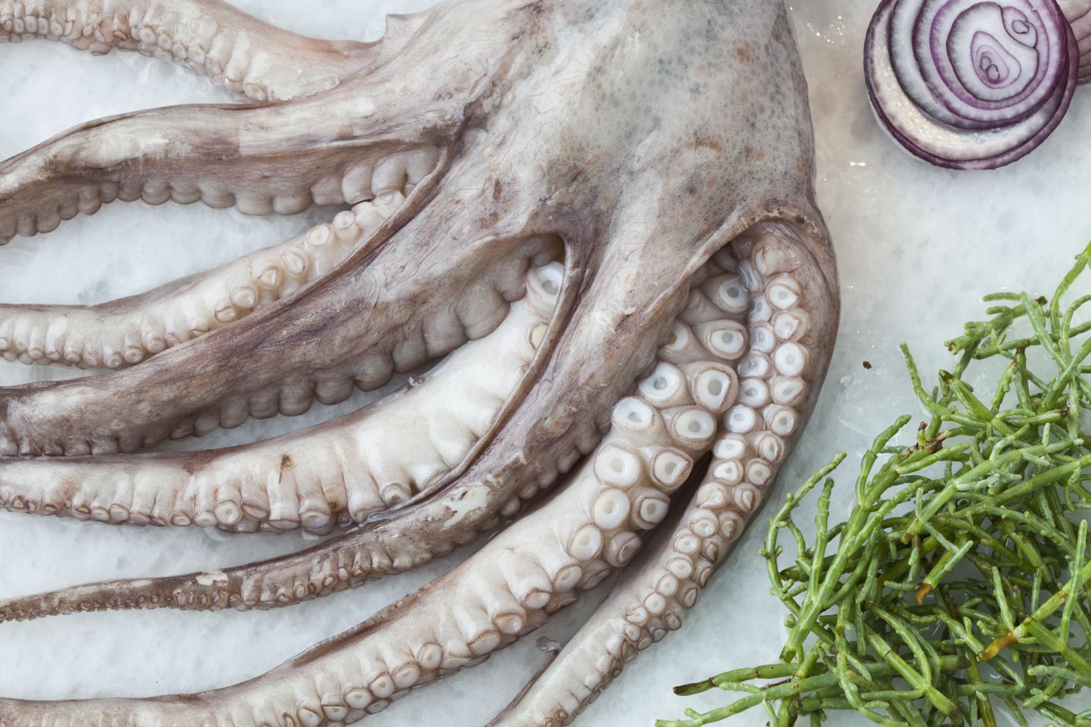How to Prepare Octopus for Cooking Later