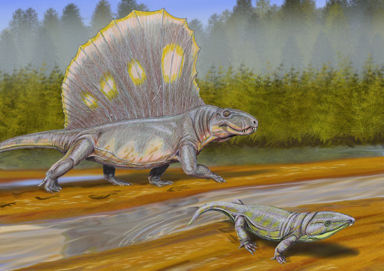 dinosaurs like dimetrodon