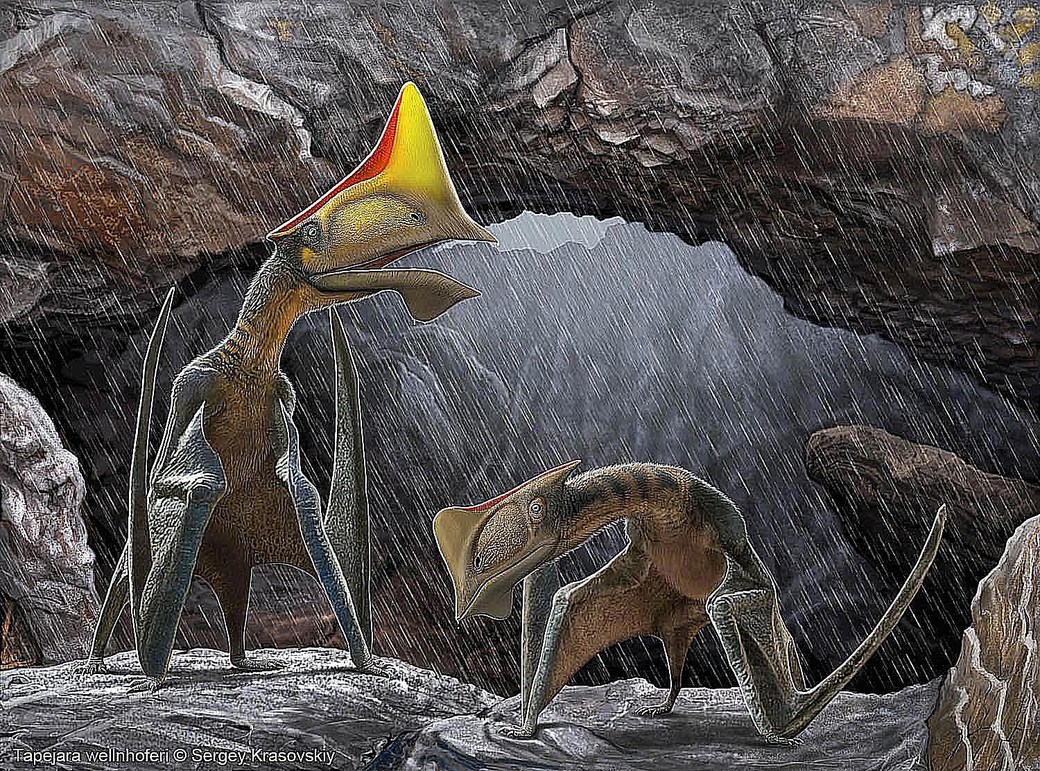 pterosaurs