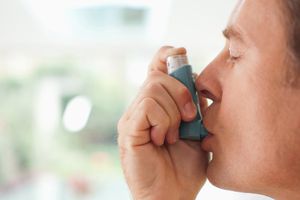 Prednisone inhaler cost