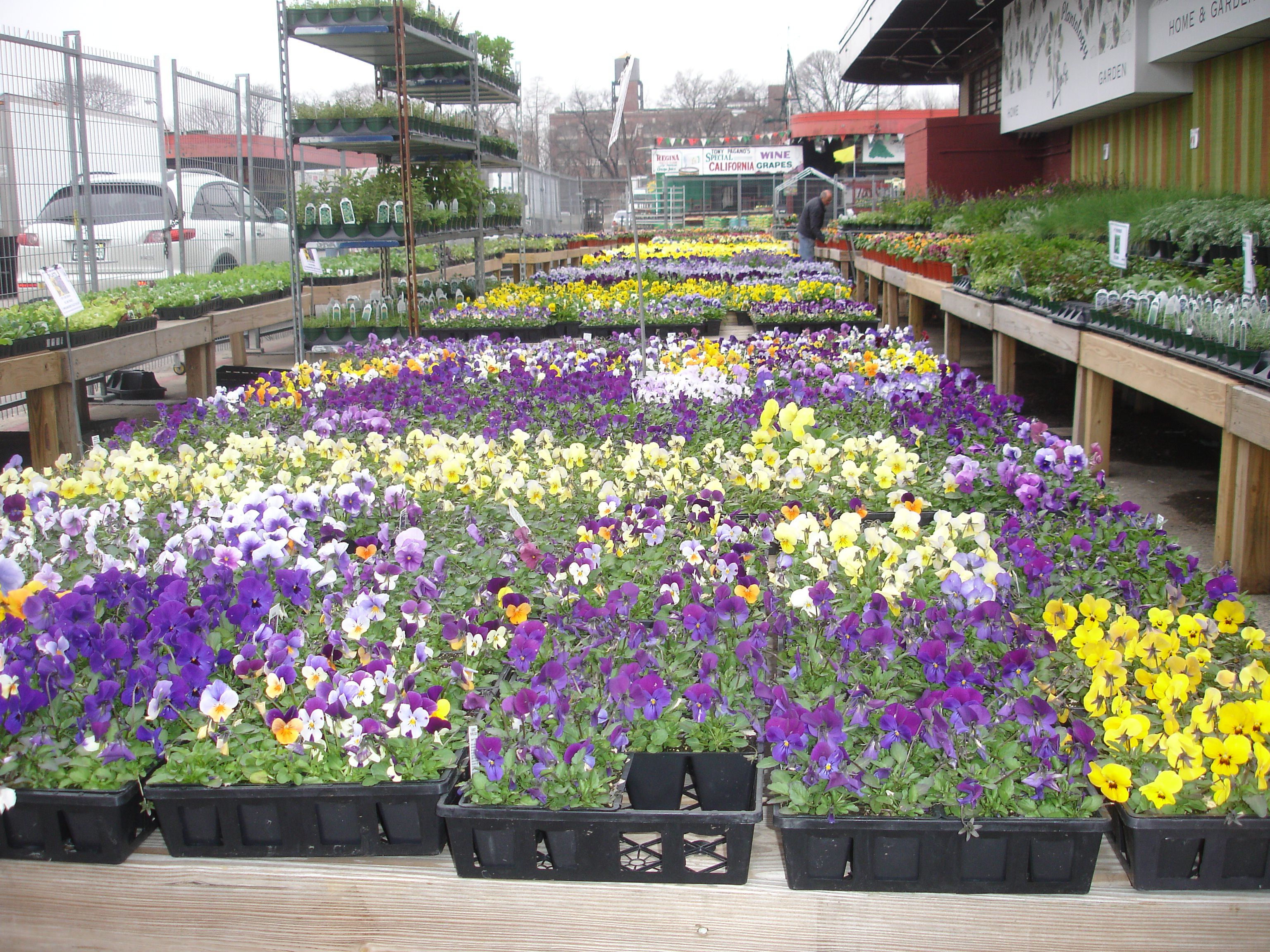 Brooklyn Terminal Markets The Complete Guide