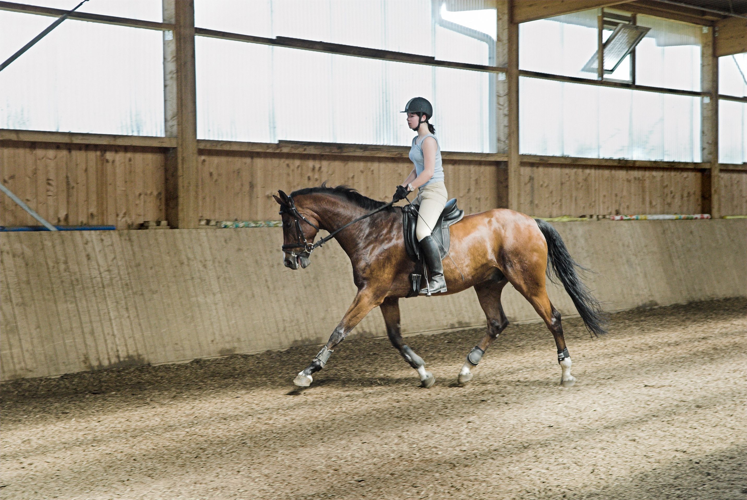 posting-the-trot-on-horseback