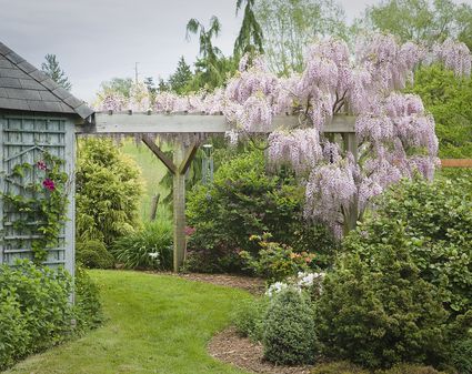 What Is a Gazebo Used For?