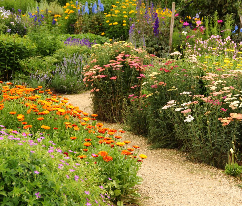 Beautiful and Functional Flower Garden Paths