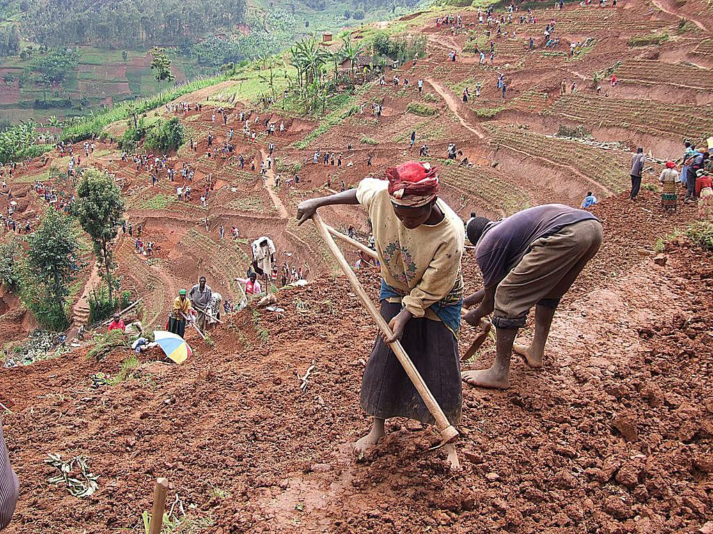 how control deforestation Africa Soil Erosion in