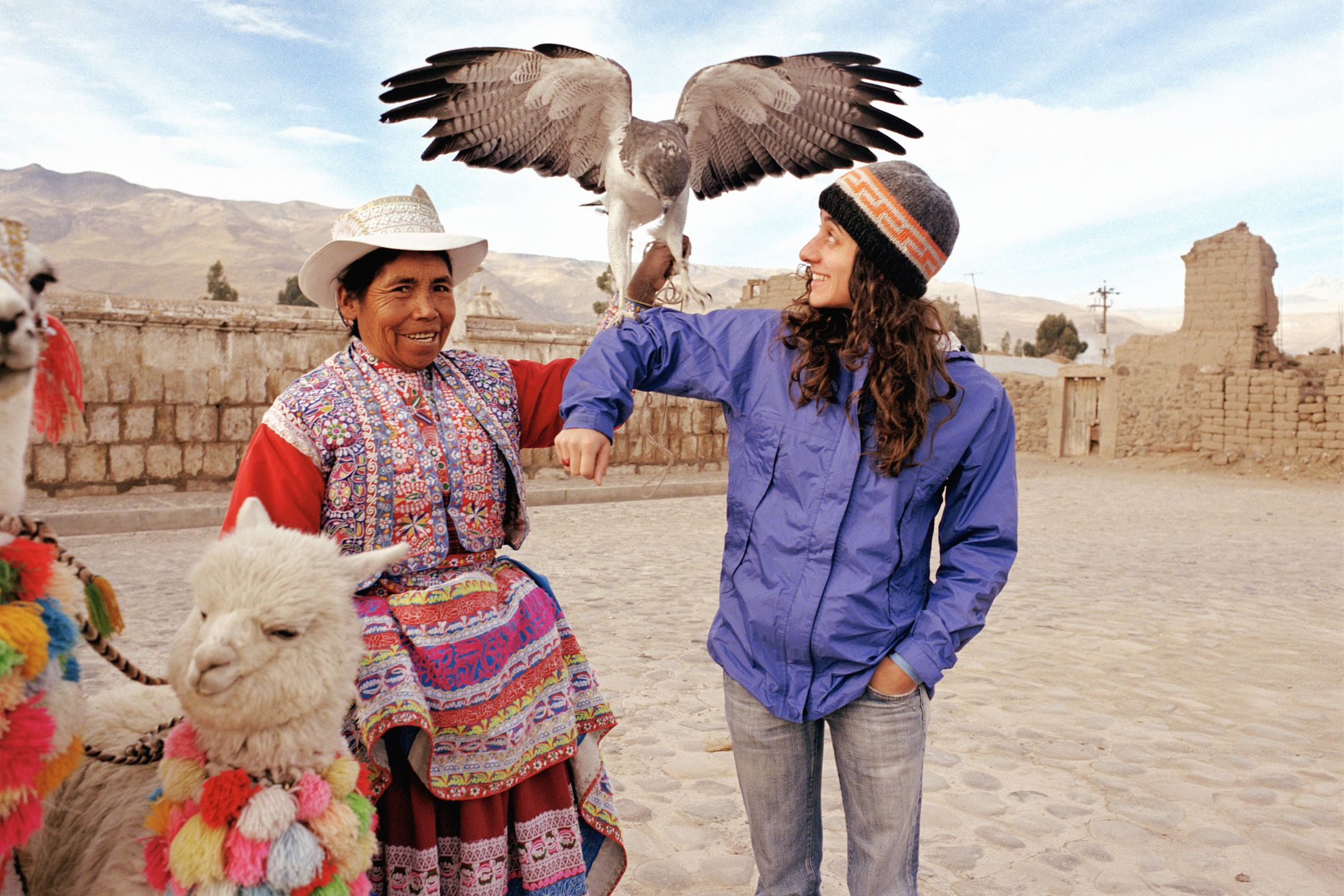 peru traveling things budget tourist tips getty alpaca gaglione frank eagle