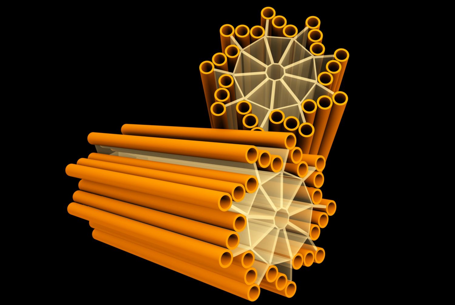 What Role Does Centrioles Play in Cell Division?