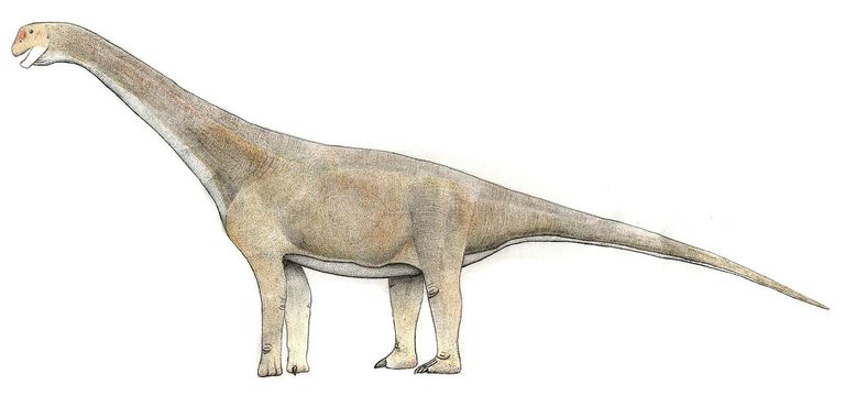 Pictures And Profiles Of Sauropod Dinosaurs