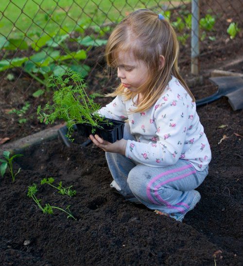 Girl plants a garden