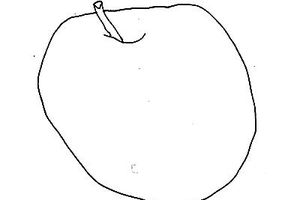 contour lines in art with a apple