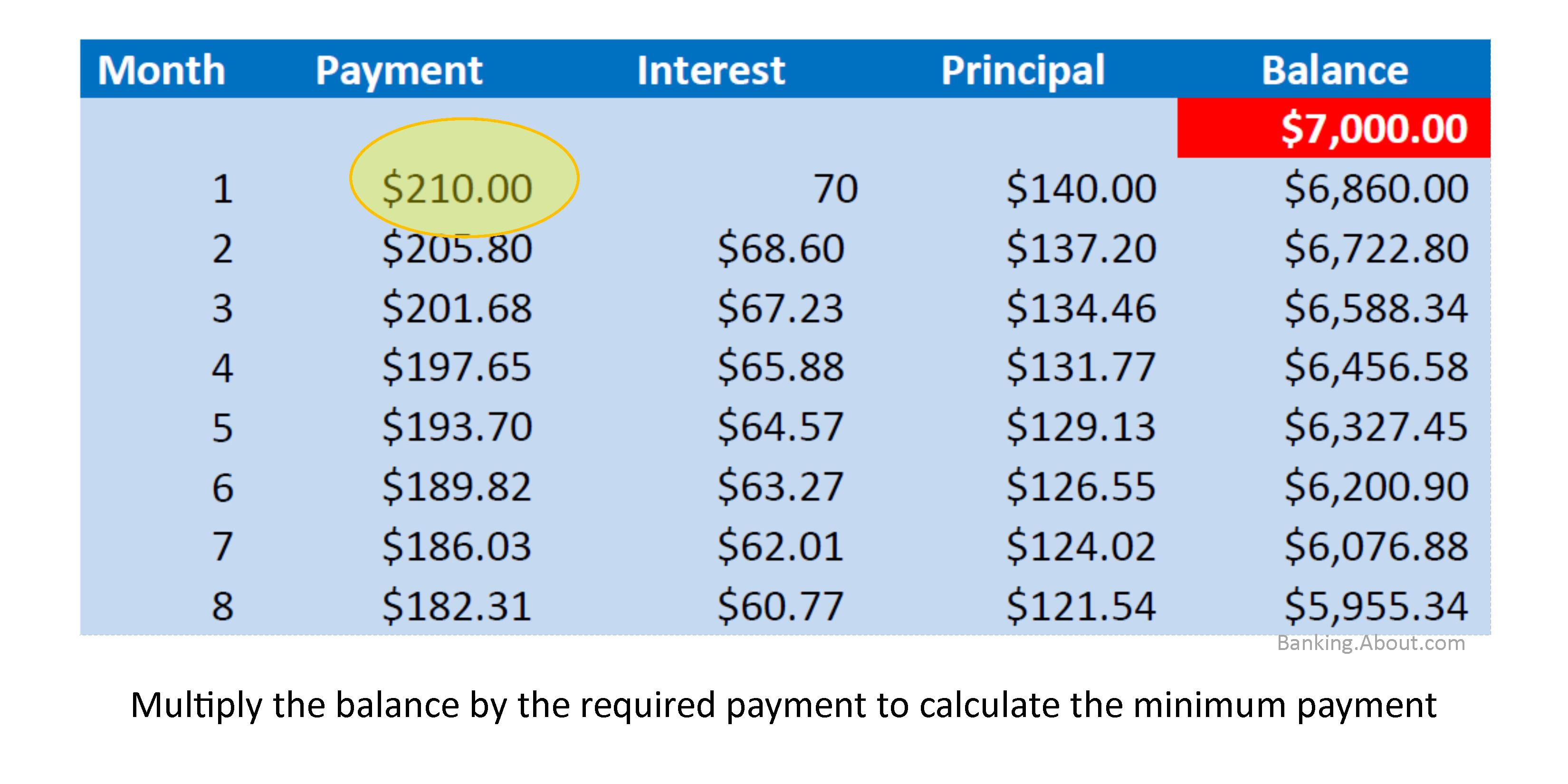 Calculate Credit Card Payments Costs