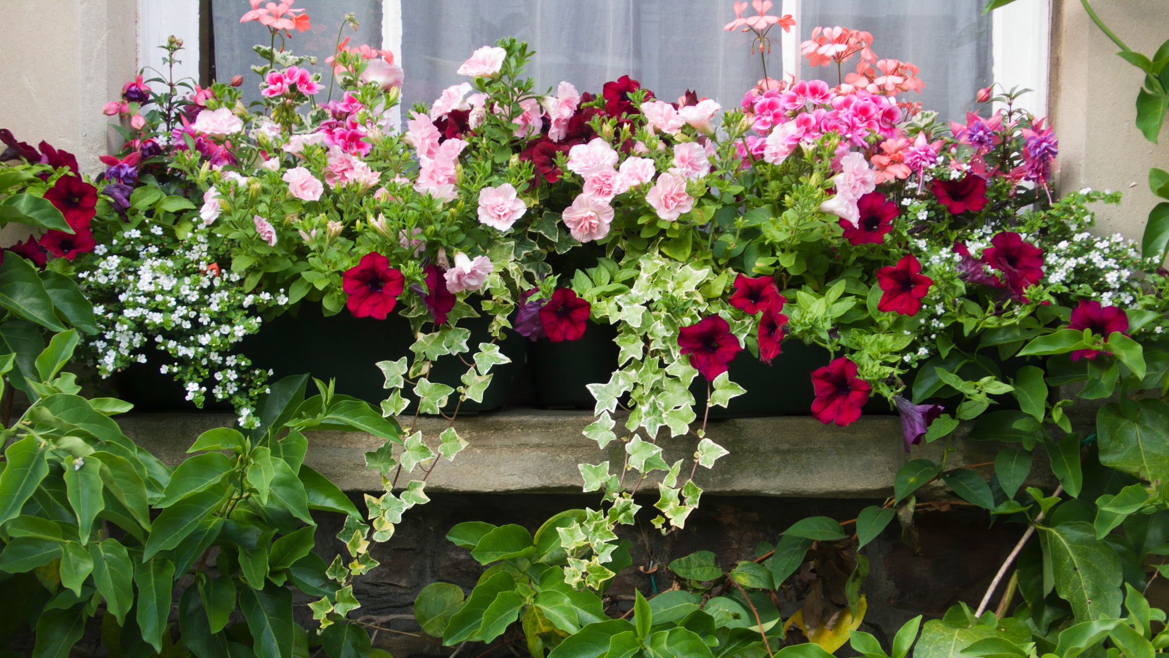 Container Gardening