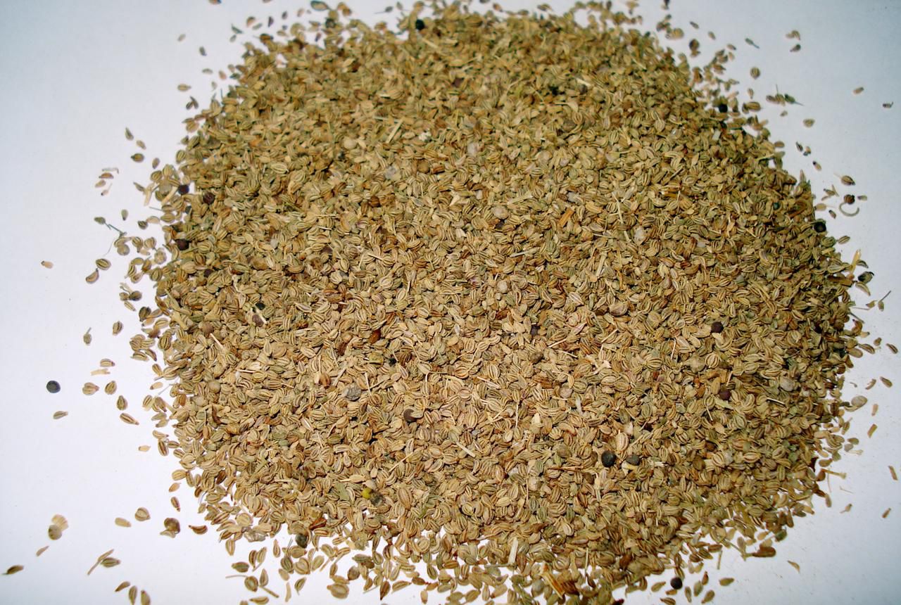 Carom Seeds - Ajwain - Bishop's Weed