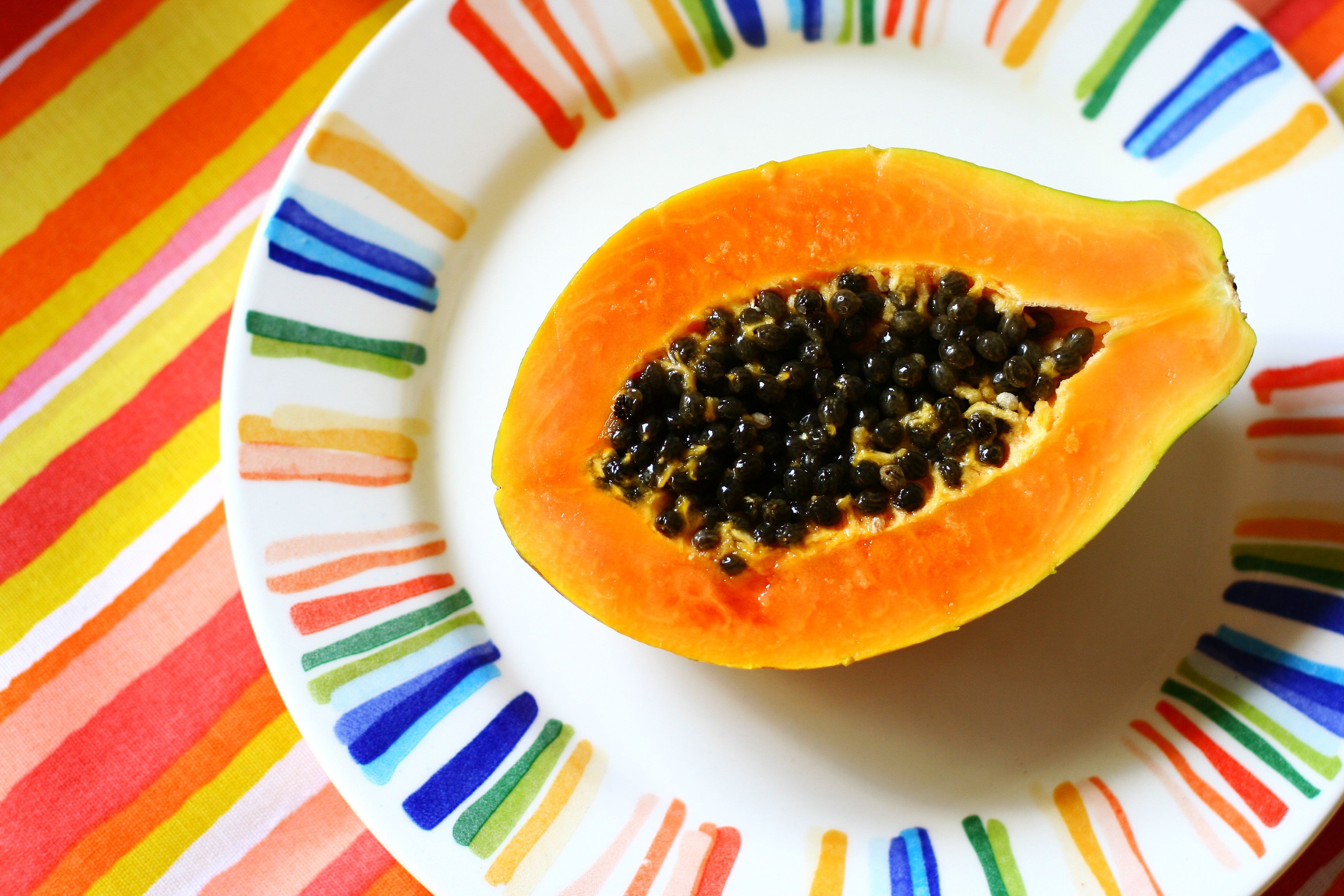 Growing Papaya Indoors as a Houseplant