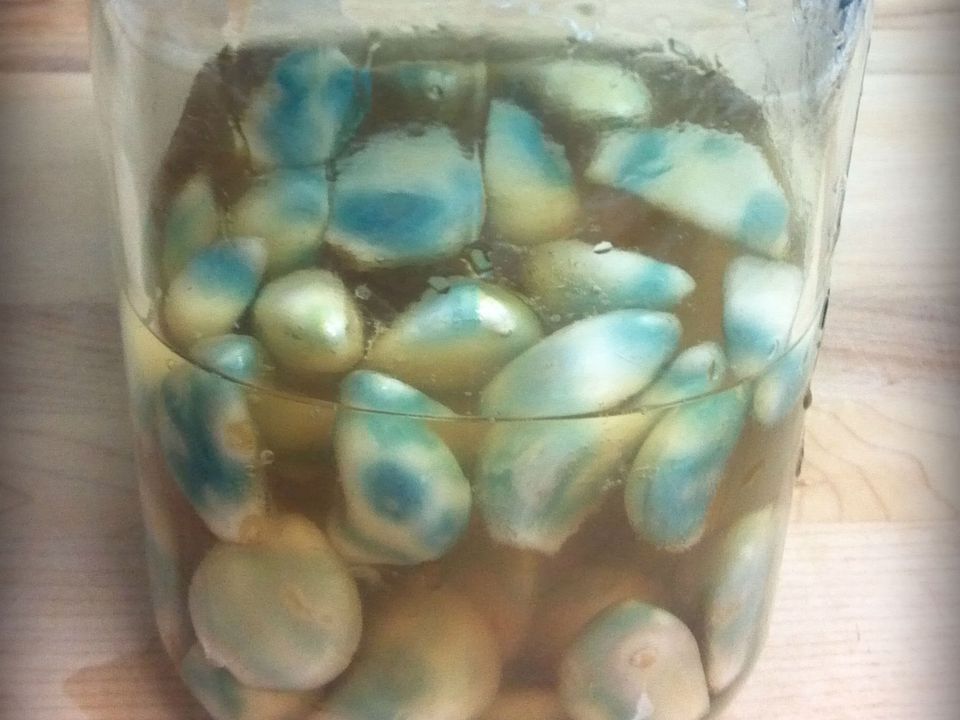 Why Does Garlic Turn Blue When Pickled?