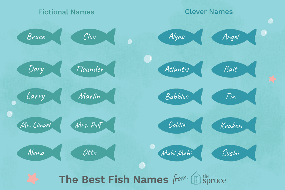 57 Perfect Names for Pet Fish