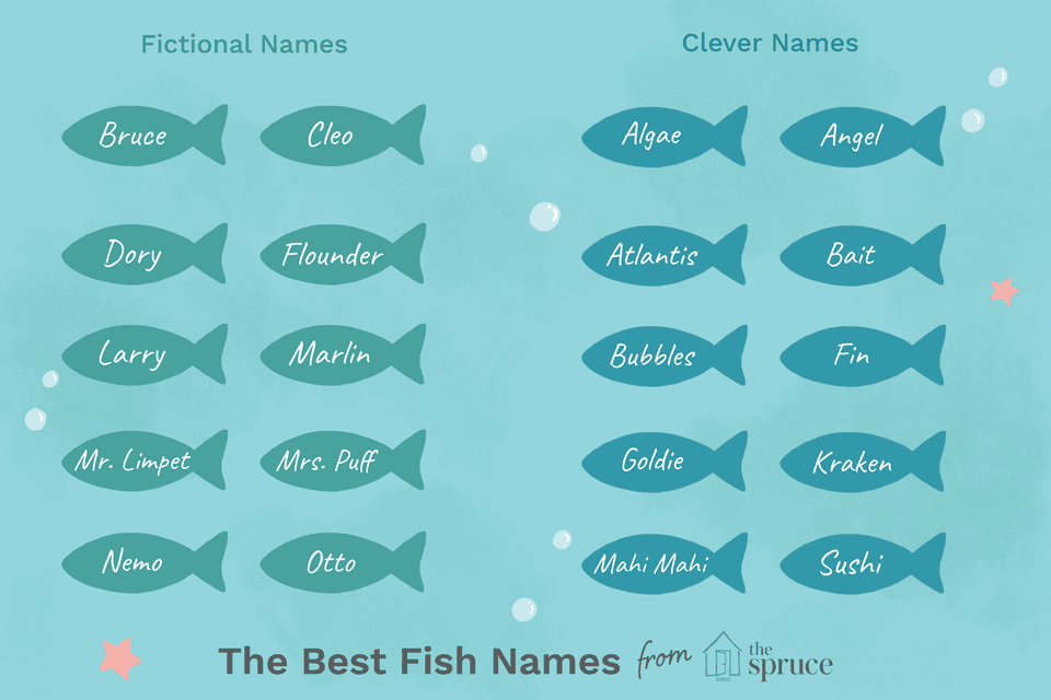 57 Perfect Names For Pet Fish