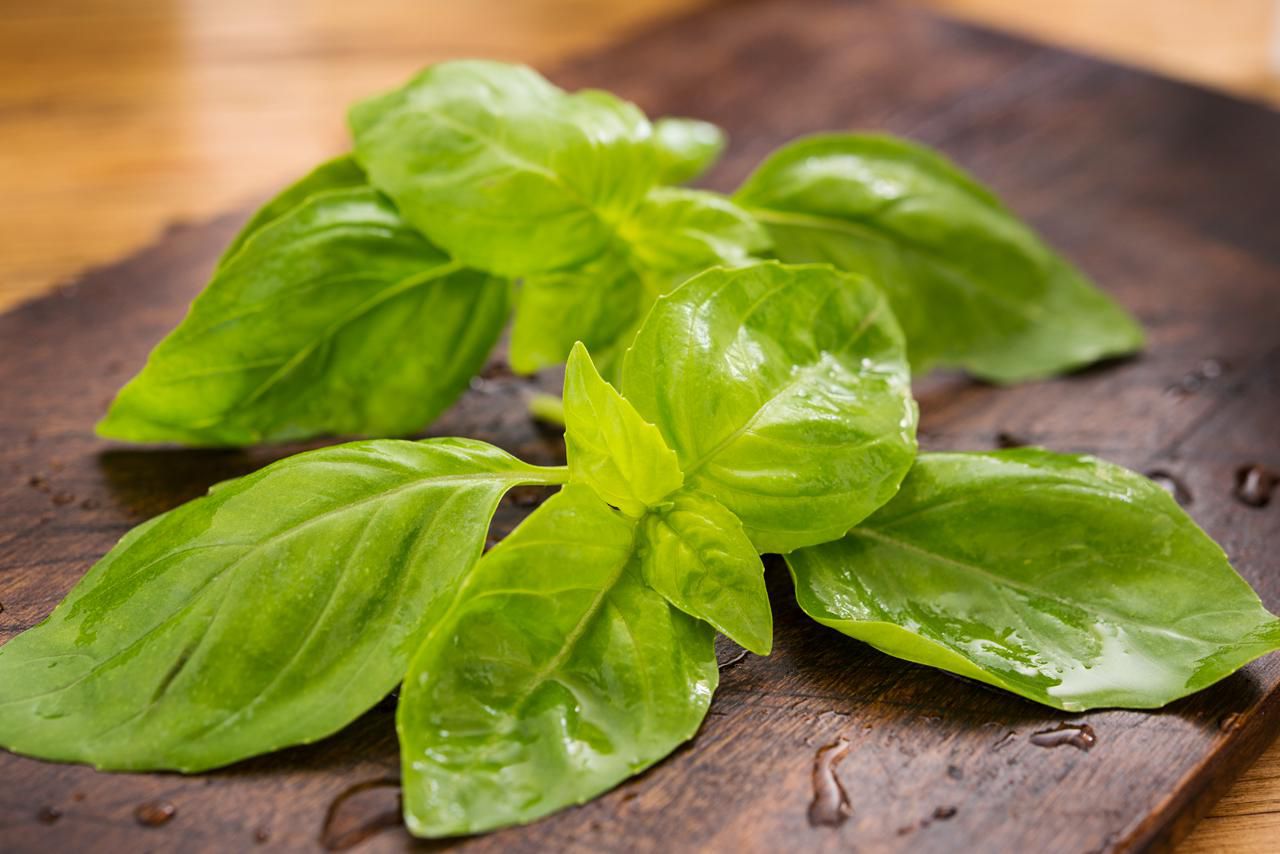 what is basil used for in cooking