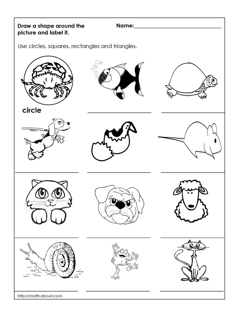 Geometry Worksheets for Students in 1st Grade